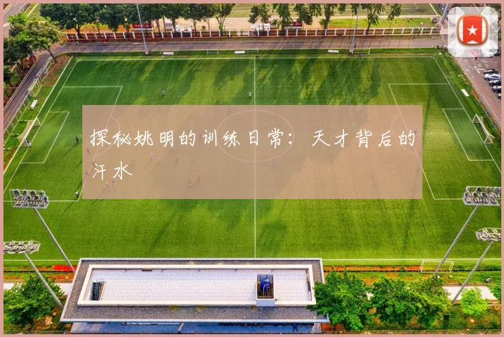 探秘姚明的训练日常：天才背后的汗水